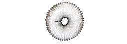 Foil Dryer Exhaust Flex Workability